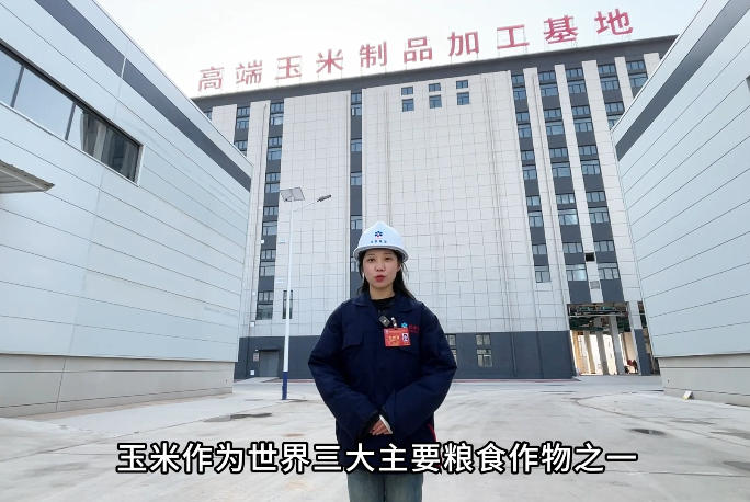 華泰智能裝備承建國內50T/D玉米胚芽油精煉設備項目現場實拍