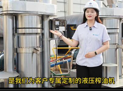產品視頻|液壓榨油機大型榨油設備