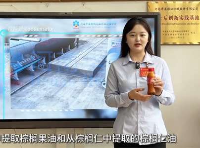 產品視頻|棕櫚油棕櫚果油棕櫚仁油加工生產線成套設備